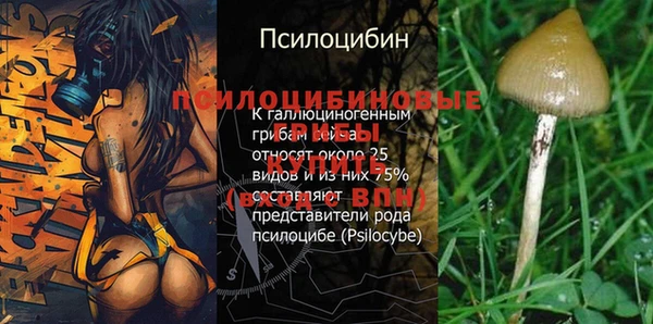spice Надым