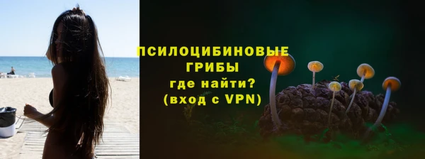 МДПВ Навашино