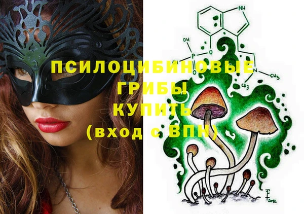 трава Абаза