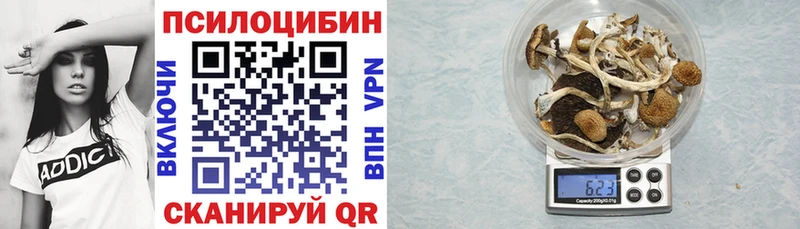 kraken зеркало Мегион Псилоцибиновые грибы GOLDEN TEACHER